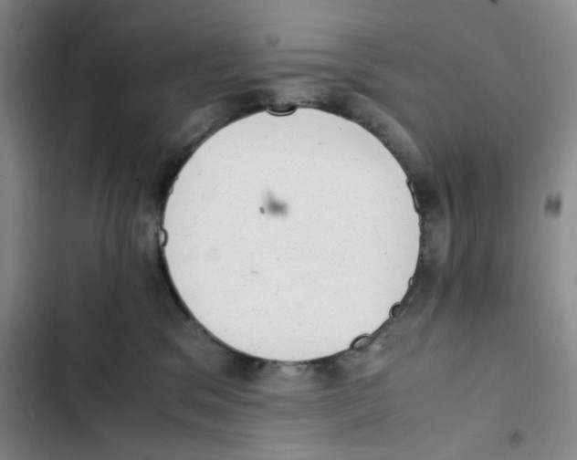 X0000102860329200809151217