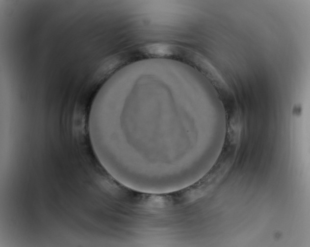 X0000102860330200809151217