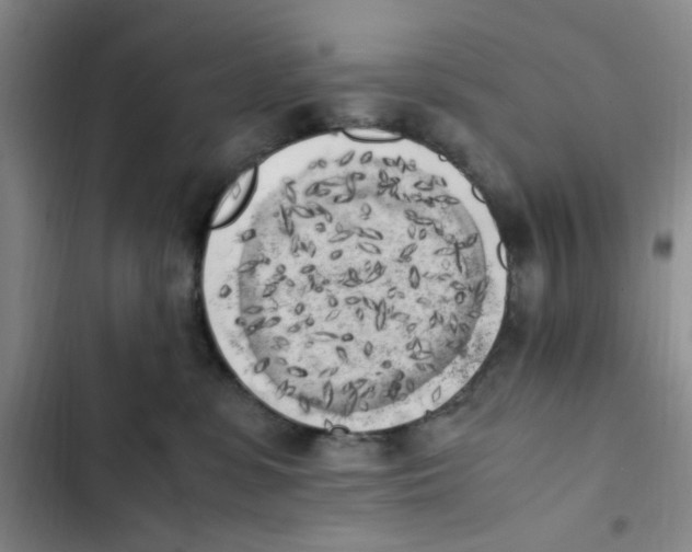 X0000102860331200809151217