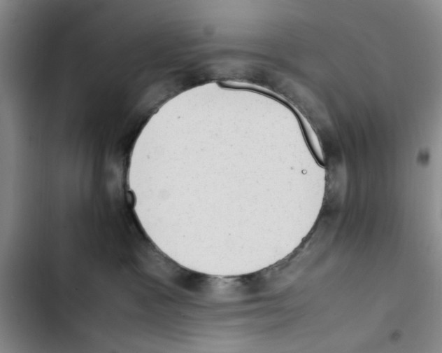 X0000102860333200809151217