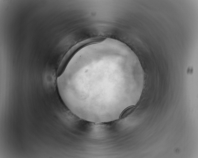 X0000102860336200809151217
