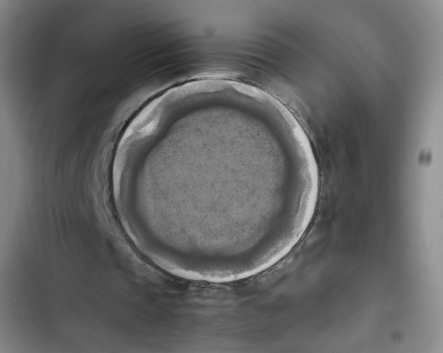 X0000102860337200809151216