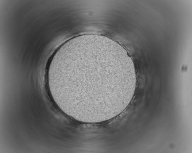 X0000102860338200809151216