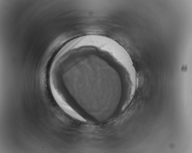 X0000102860339200809151216