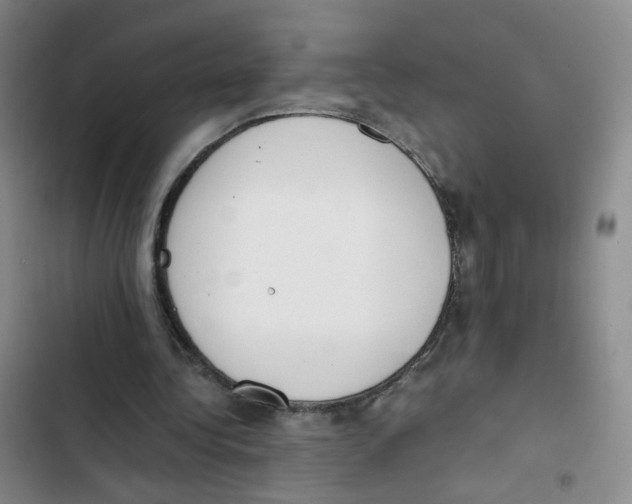 X0000102860340200809151217