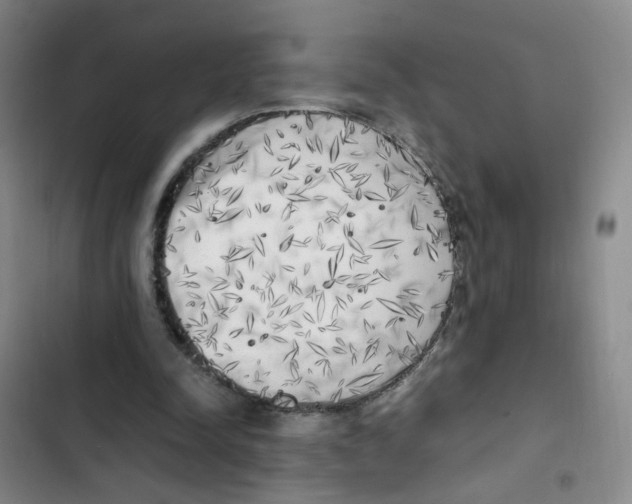 X0000102860342200809151217
