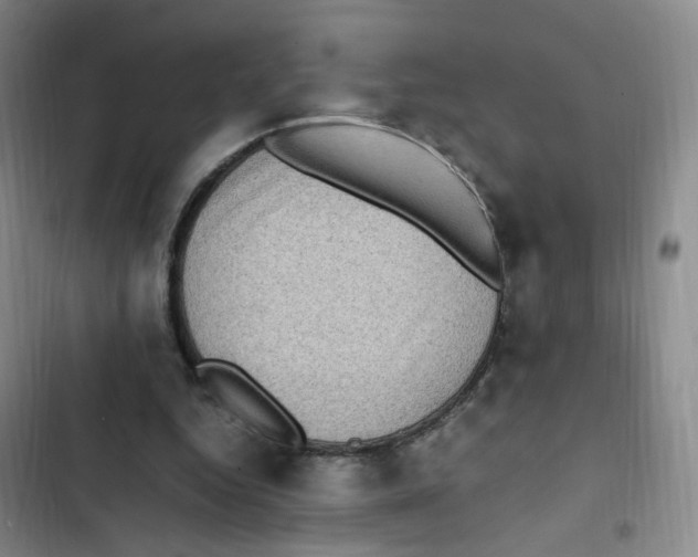 X0000102860344200809151217