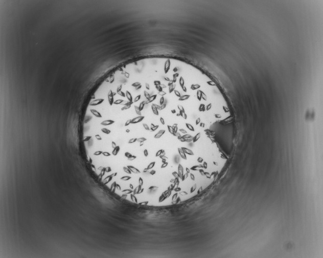 X0000102860345200809151217