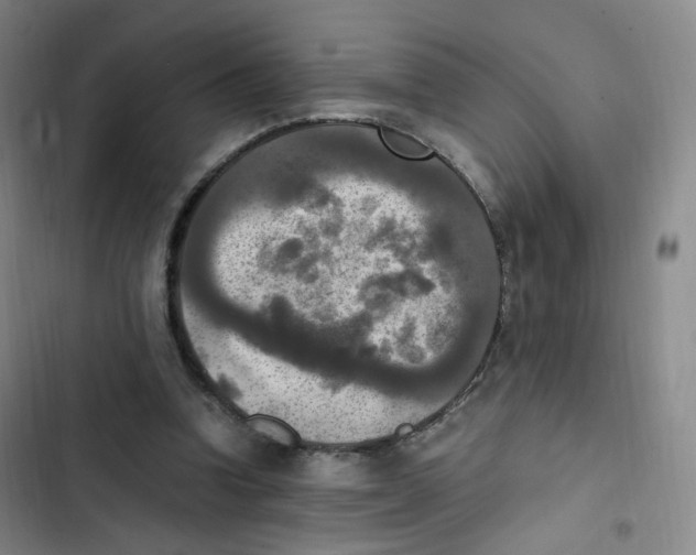 X0000102860346200809151217