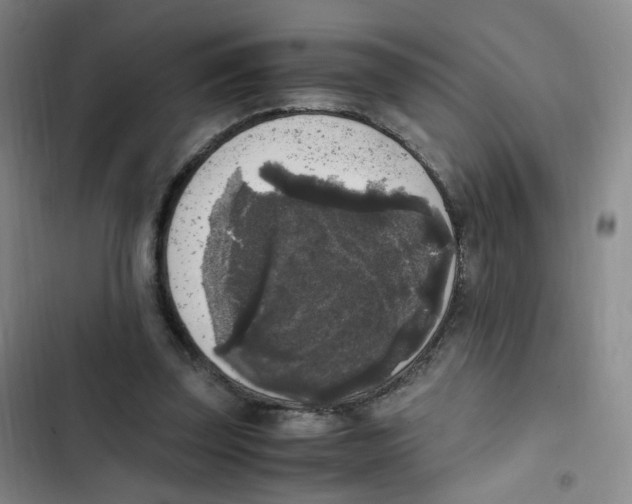 X0000102860347200809151217