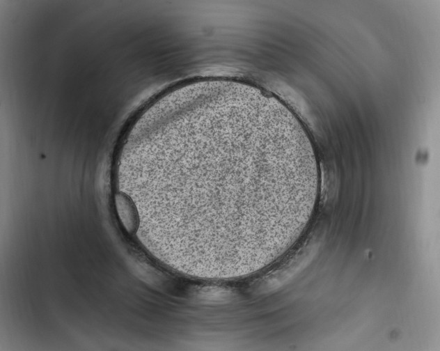 X0000102860348200809151217