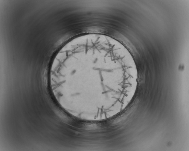 X0000102860349200809151217