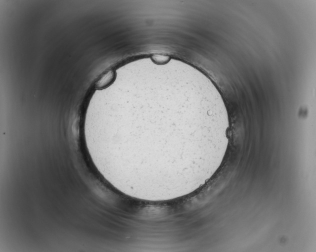 X0000102860350200809151217