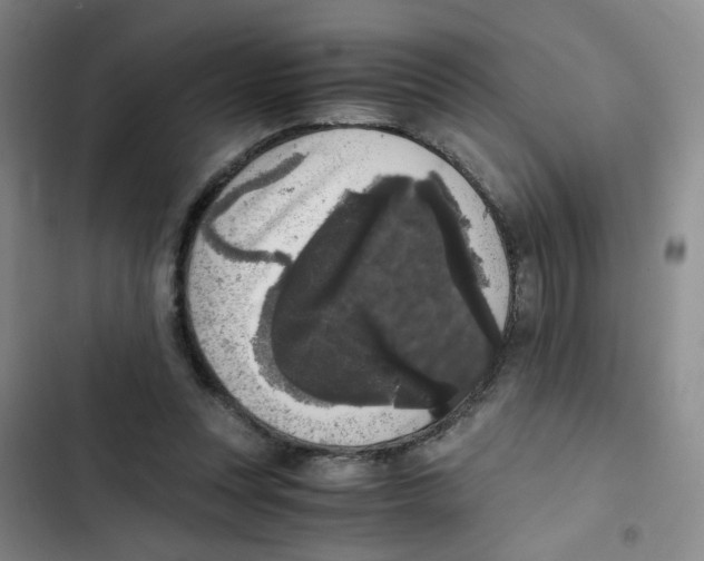 X0000102860351200809151217