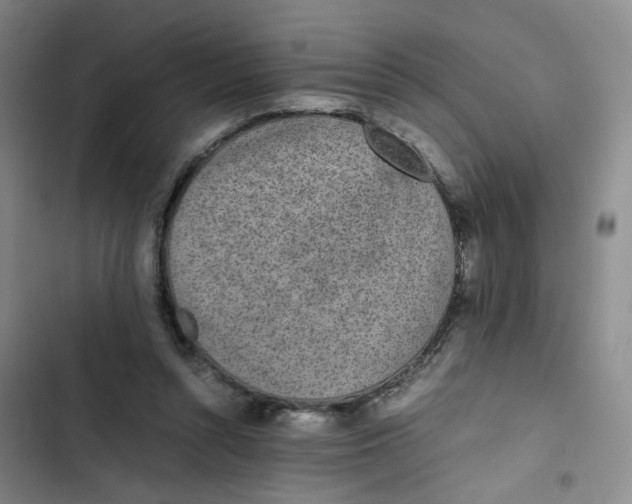 X0000102860352200809151217