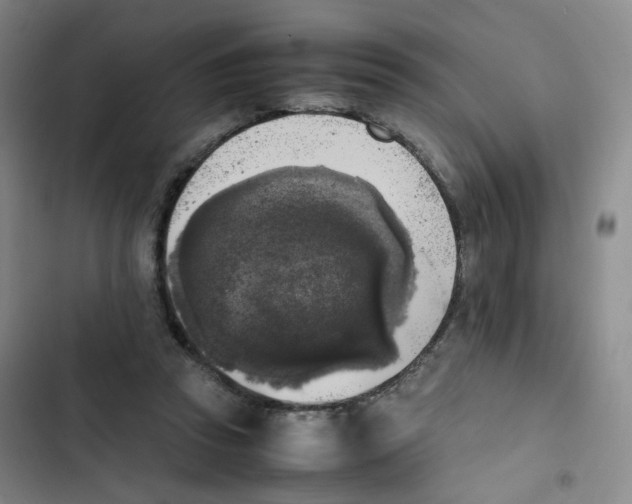 X0000102860353200809151217