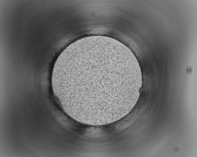 X0000102860354200809151217