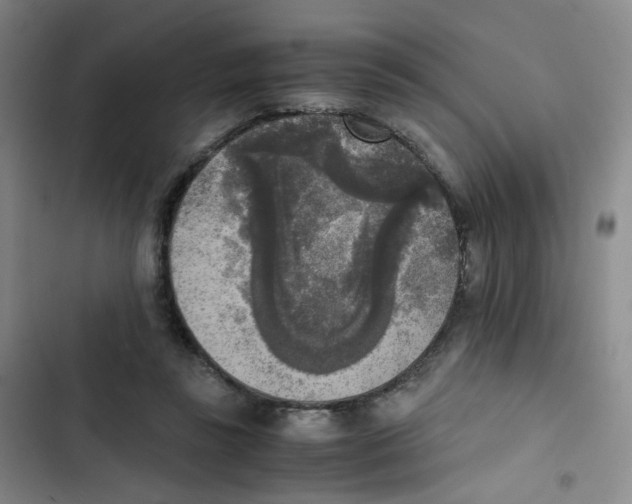 X0000102860355200809151217