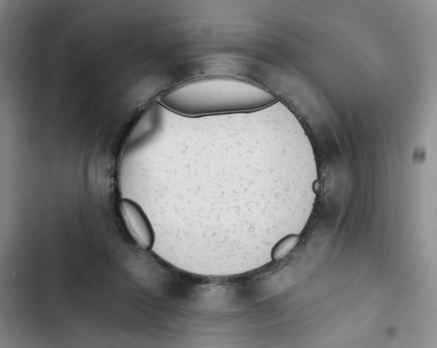 X0000102860356200809151217
