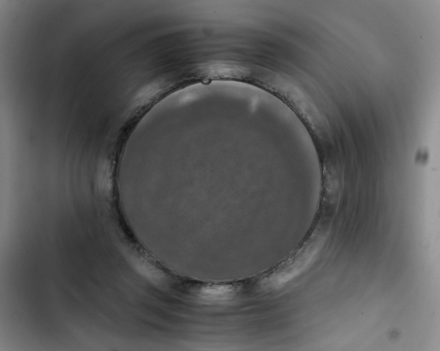 X0000102860357200809151217