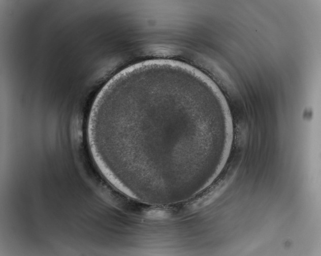 X0000102860358200809151217