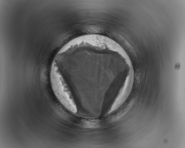 X0000102860359200809151217