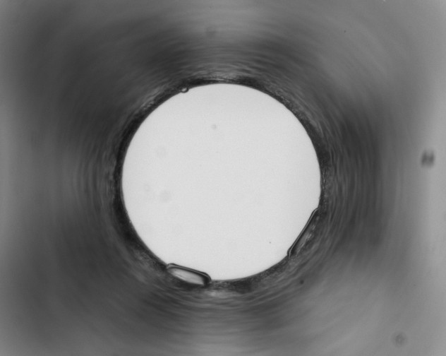 X0000102860360200809151217