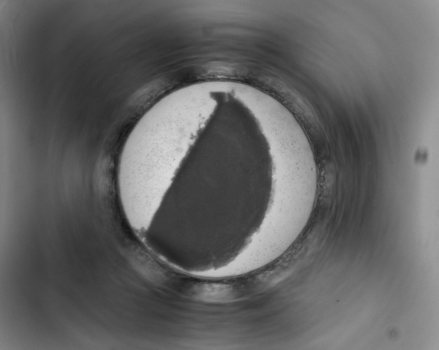 X0000102860361200809151217
