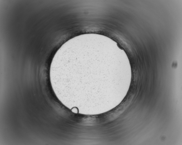 X0000102860362200809151217