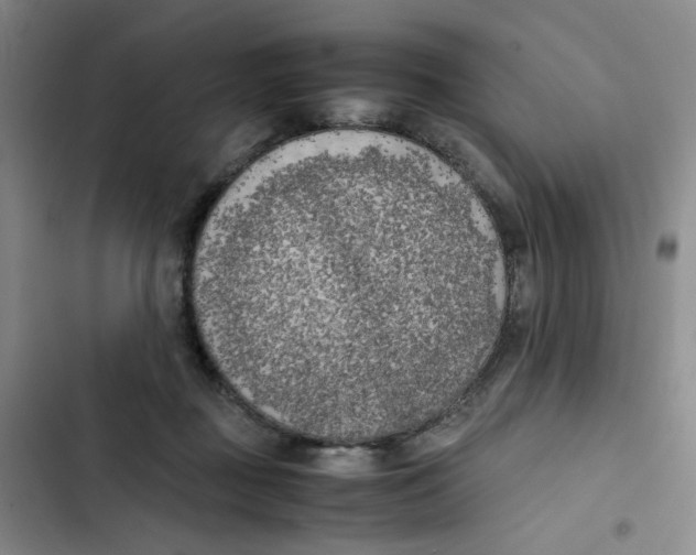 X0000102860363200809151217