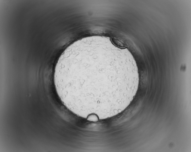 X0000102860364200809151217