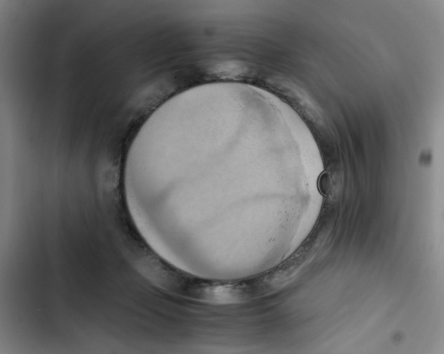 X0000102860365200809151217