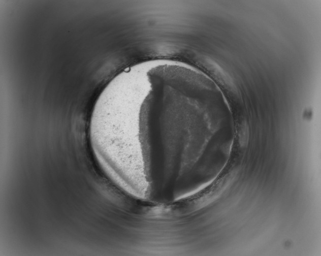 X0000102860366200809151217