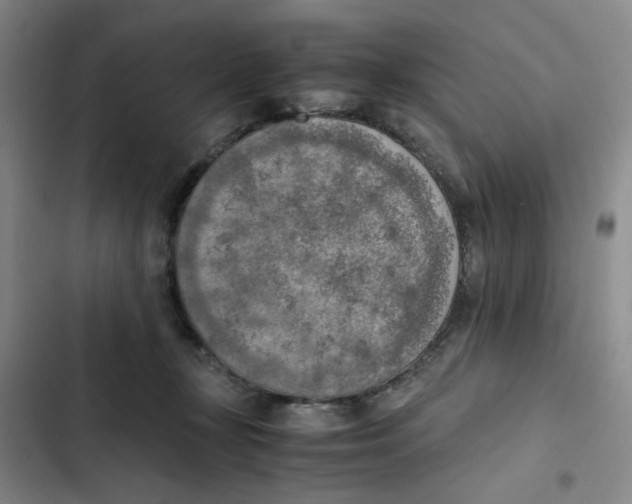 X0000102860367200809151217
