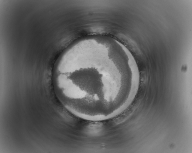 X0000102860369200809151217