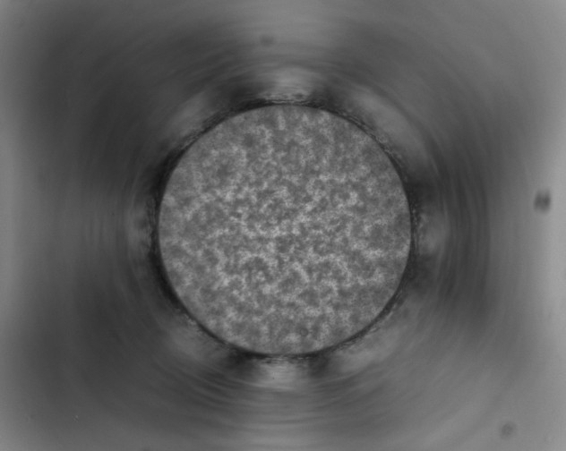 X0000102860370200809151217