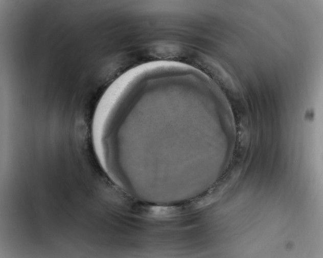 X0000102860371200809151217
