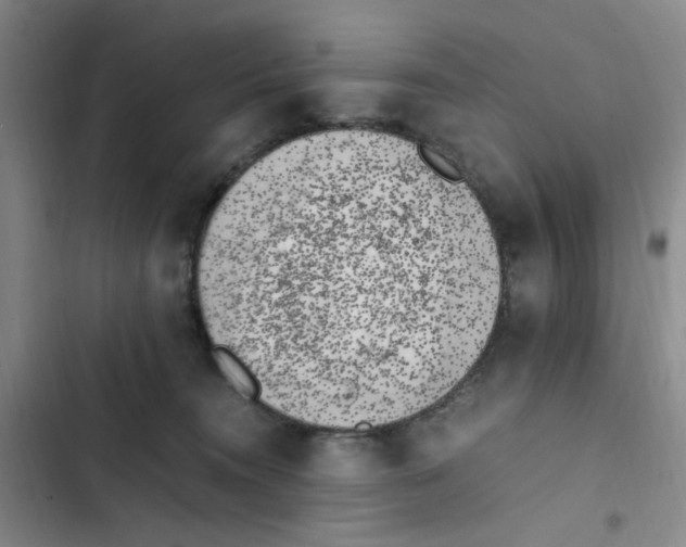X0000102860372200809151217