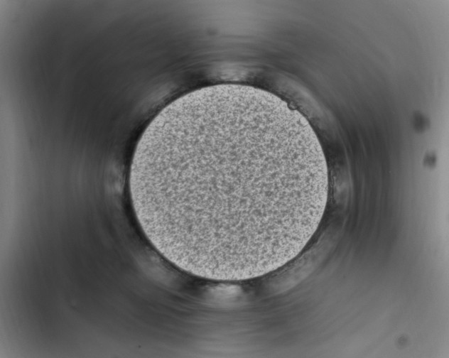 X0000102860374200809151217