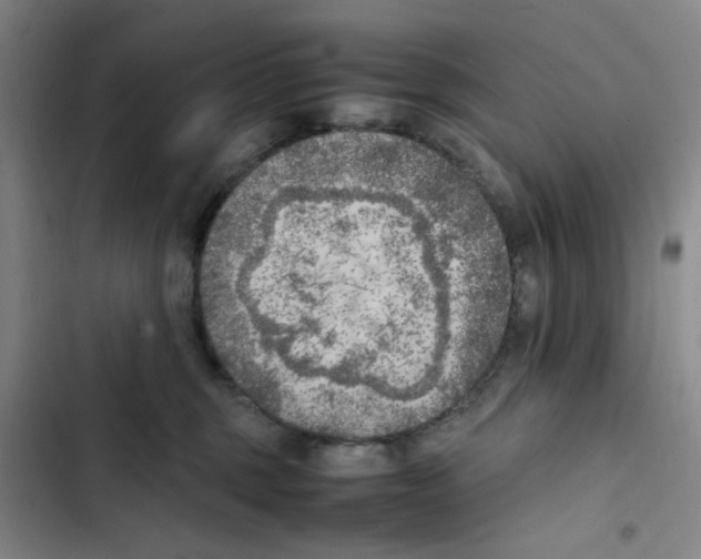 X0000102860375200809151217