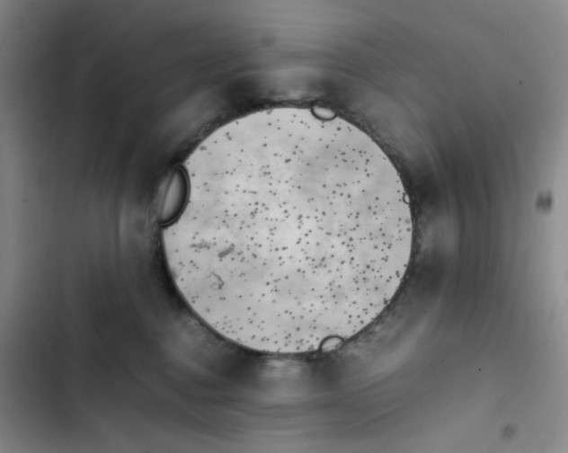 X0000102860376200809151217