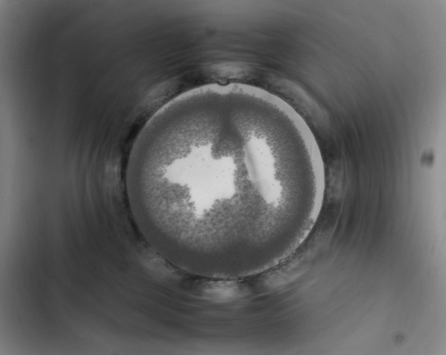 X0000102860377200809151217