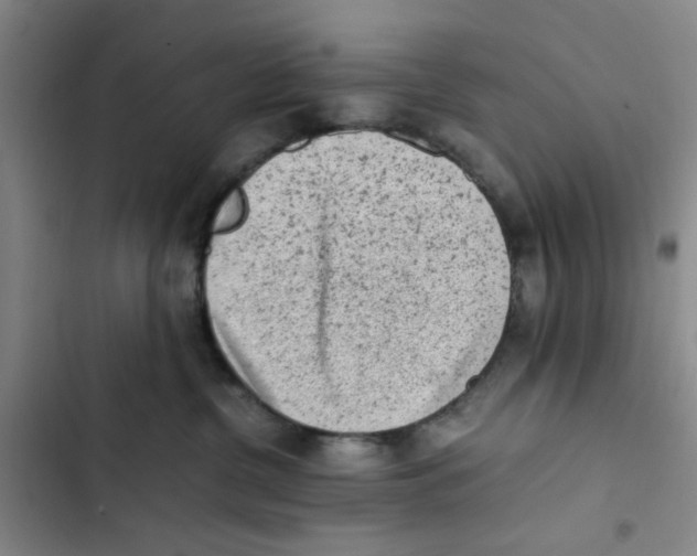 X0000102860380200809151217