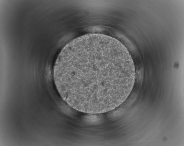 X0000102860381200809151217