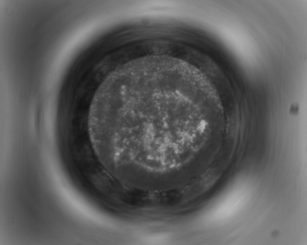 X0000102860383200809151217