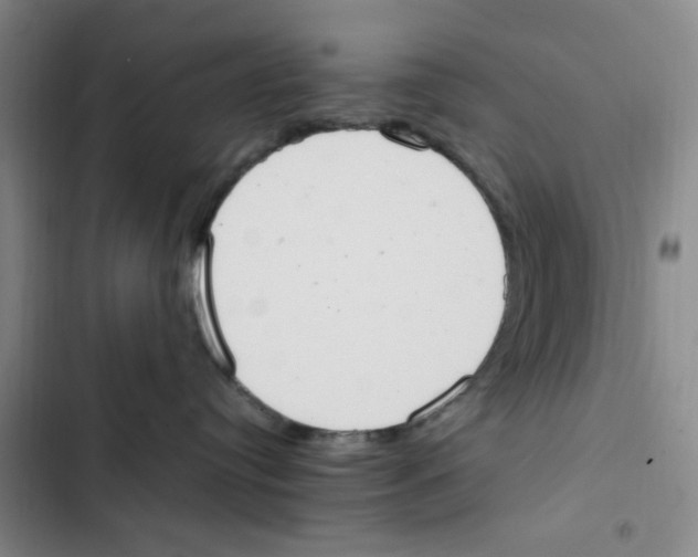 X0000102860384200809151217