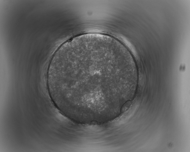 X0000102860385200809151216