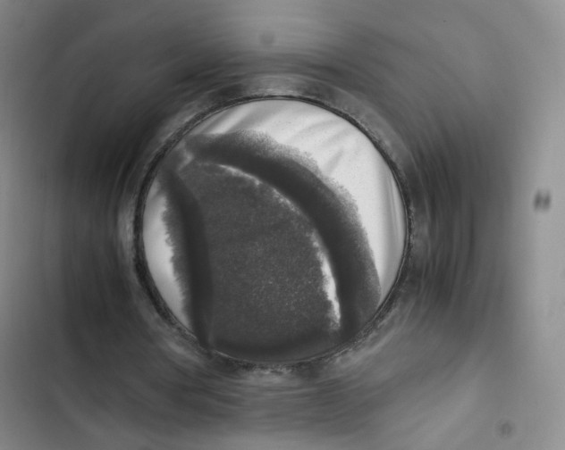 X0000102860386200809151216