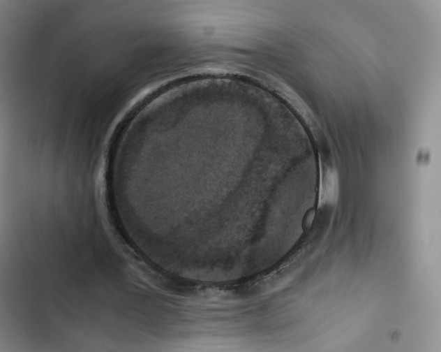 X0000102860387200809151216