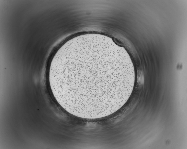 X0000102860388200809151216